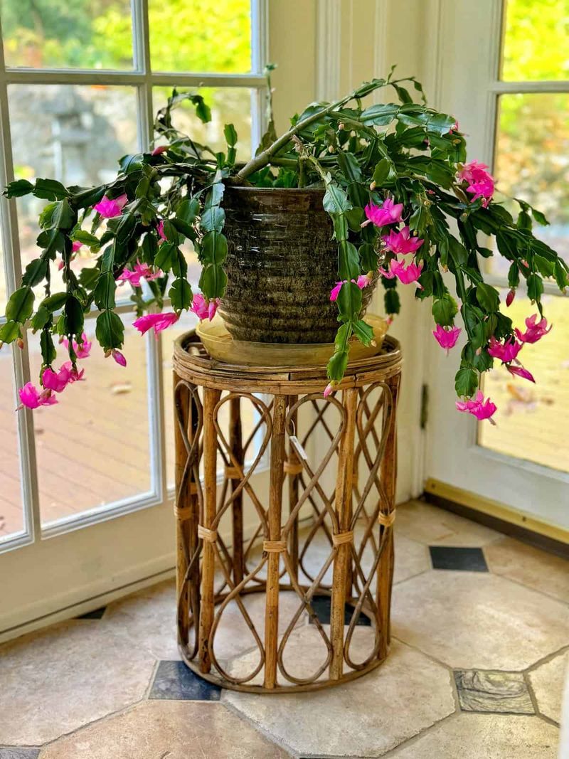 Keep Your Plant Snug In Its Pot Keep Your Plant Snug In Its Pot