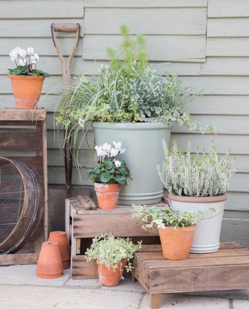 Keep Your Porch Plants Happy Through Winter