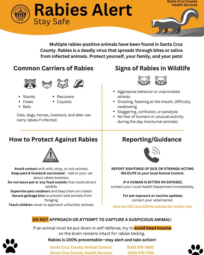 Keep people and pets away from unfamiliar wildlife