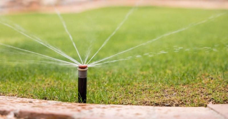 Keep the seed zone moist, using guidance for the grass you planted