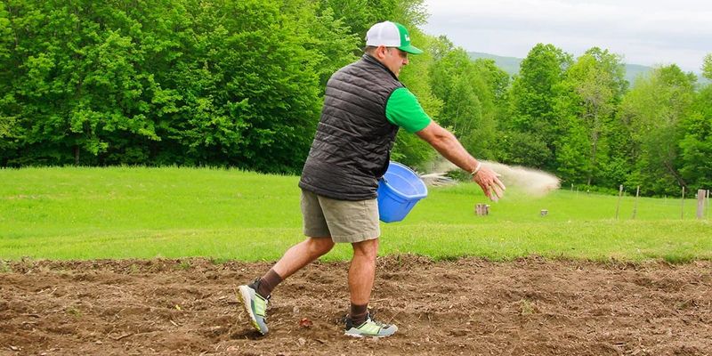Keep the seedbed moist when rain falls short