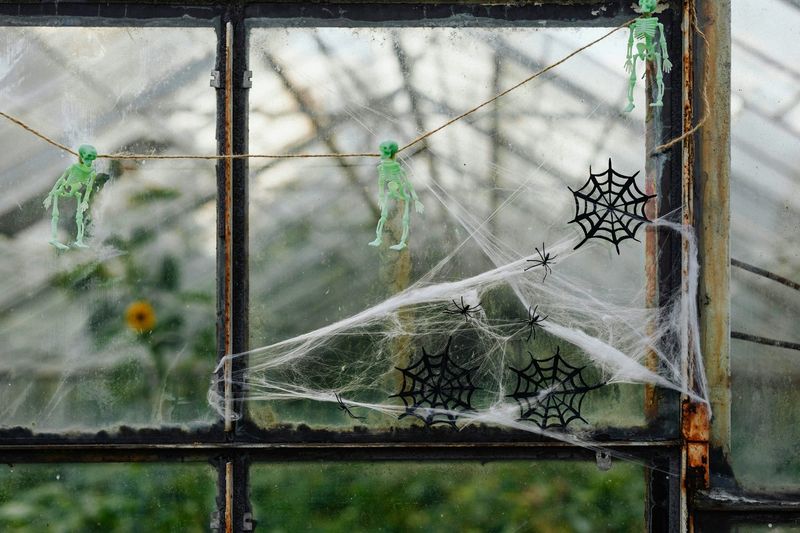 Keeping Fake Webs Indoors Removes The Risk From Your Yard Keeping Fake Webs Indoors Removes The Risk From Your Yard