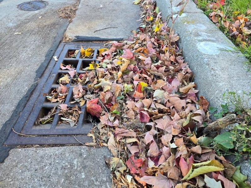 Keeping Leaves Out Of Storm Drains And Waterways