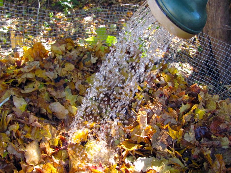 Keeping The Pile Damp Like A Wrung-Out Sponge Matters Keeping The Pile Damp Like A Wrung-Out Sponge Matters