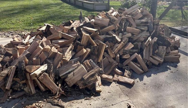 Knock Logs Together Before Carrying Them In