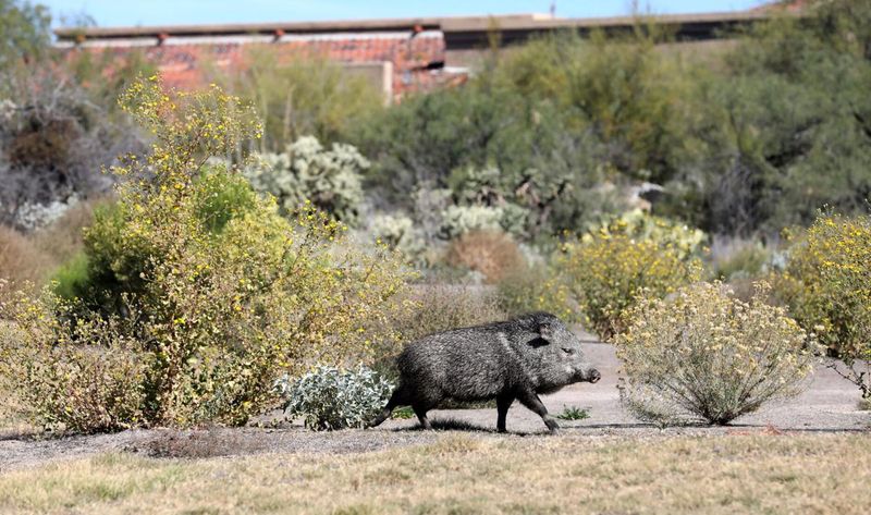 Know when to contact wildlife or medical professionals