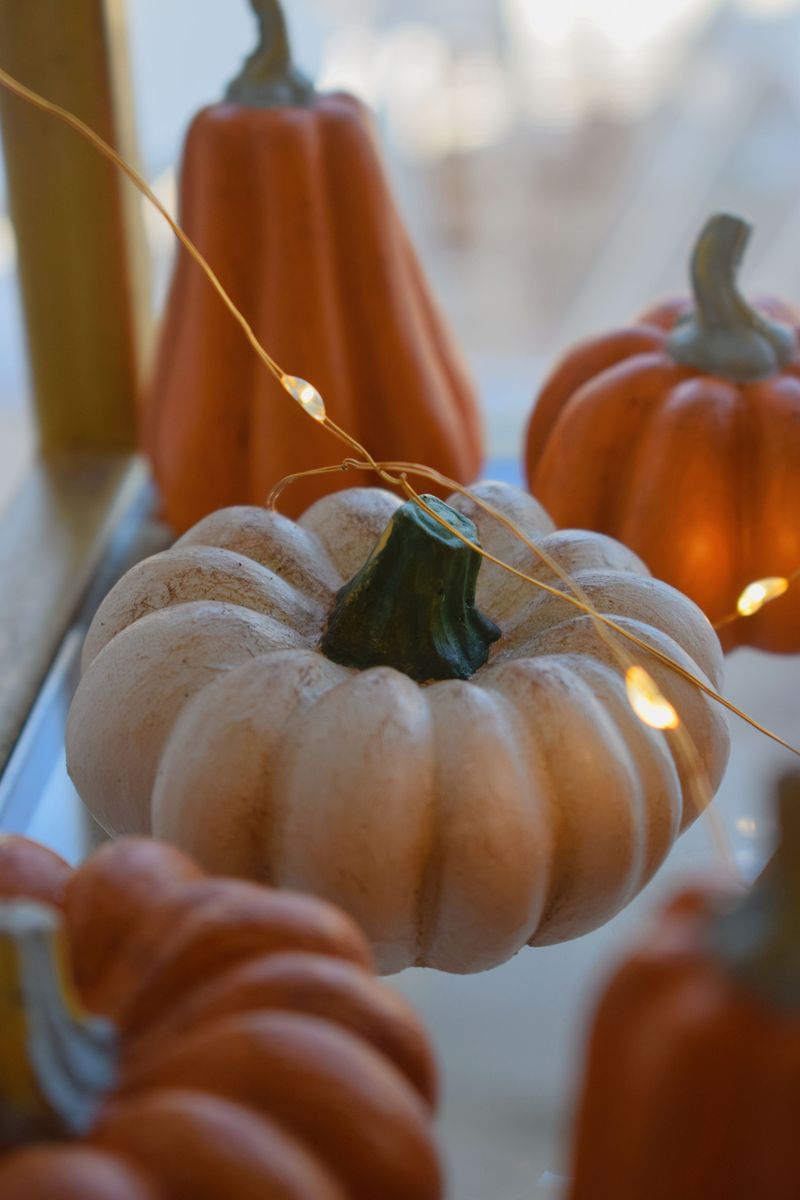 LED Fairy Lights Twinkle Through Drilled Pumpkin Holes LED Fairy Lights Twinkle Through Drilled Pumpkin Holes