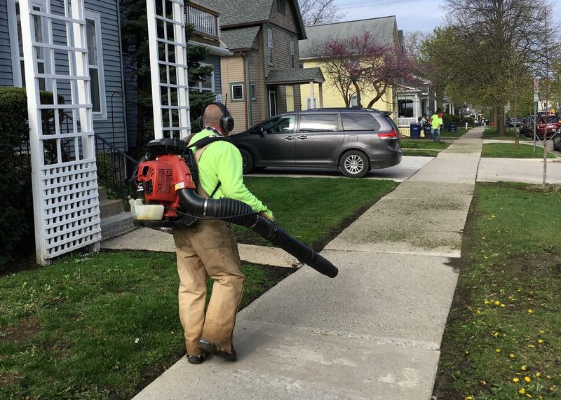 Landscapers Usually Have To Follow The Same Rules