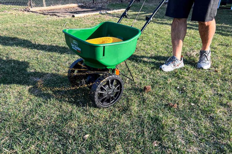 Late Fertilizer Bags Can Feed Fungus Instead Of Grass