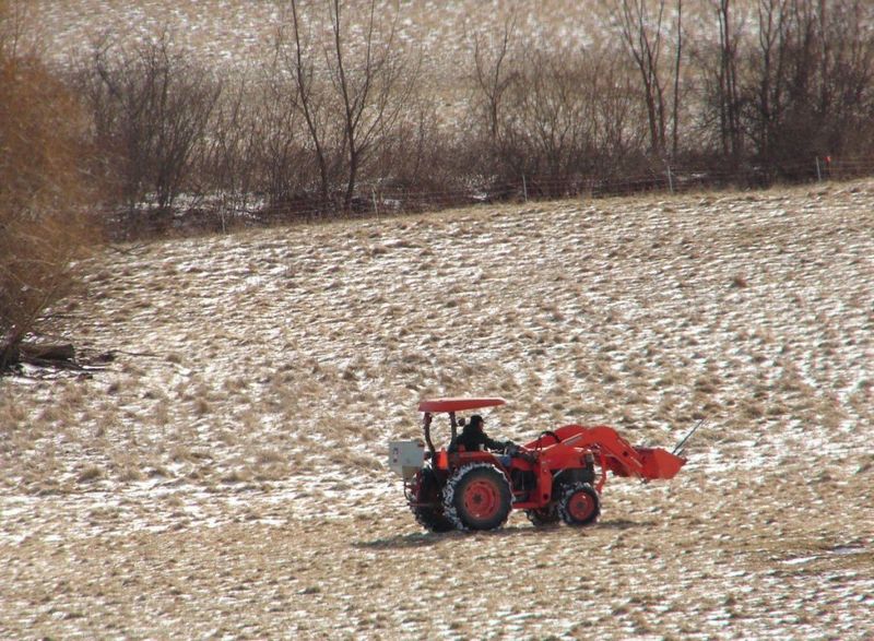 Late-Winter Freeze And Thaw Works Seed Into The Ground