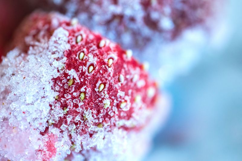 Late Winter Frost Protection For Tender Blooms