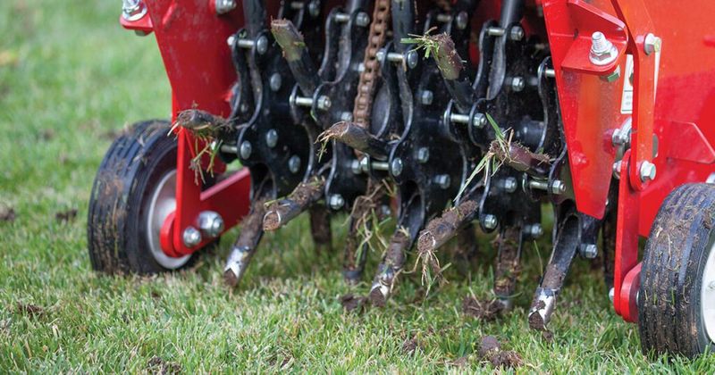 Lawn Density Habits That Hold Back Regrowth