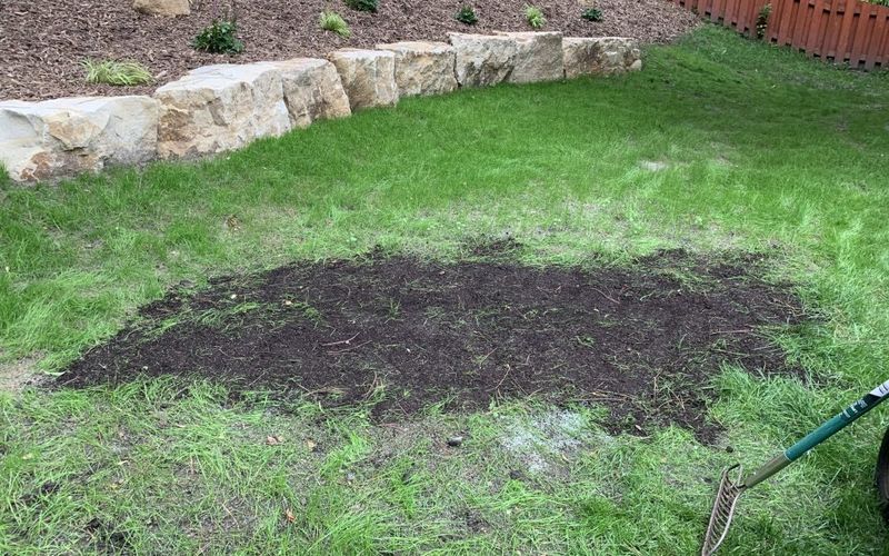 Lawn Repair After The Tunnels Settle Lawn Repair After The Tunnels Settle