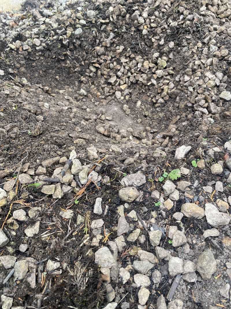 Leaf Litter And Dust Turn Into Soil Leaf Litter And Dust Turn Into Soil