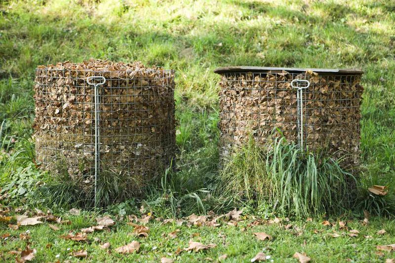 Leaf Mold Becomes A Rich Soil Amendment