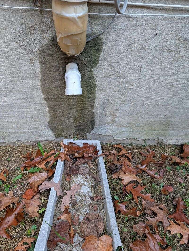 Leaky Faucets And Soggy Spots Draw Thirsty Copperheads