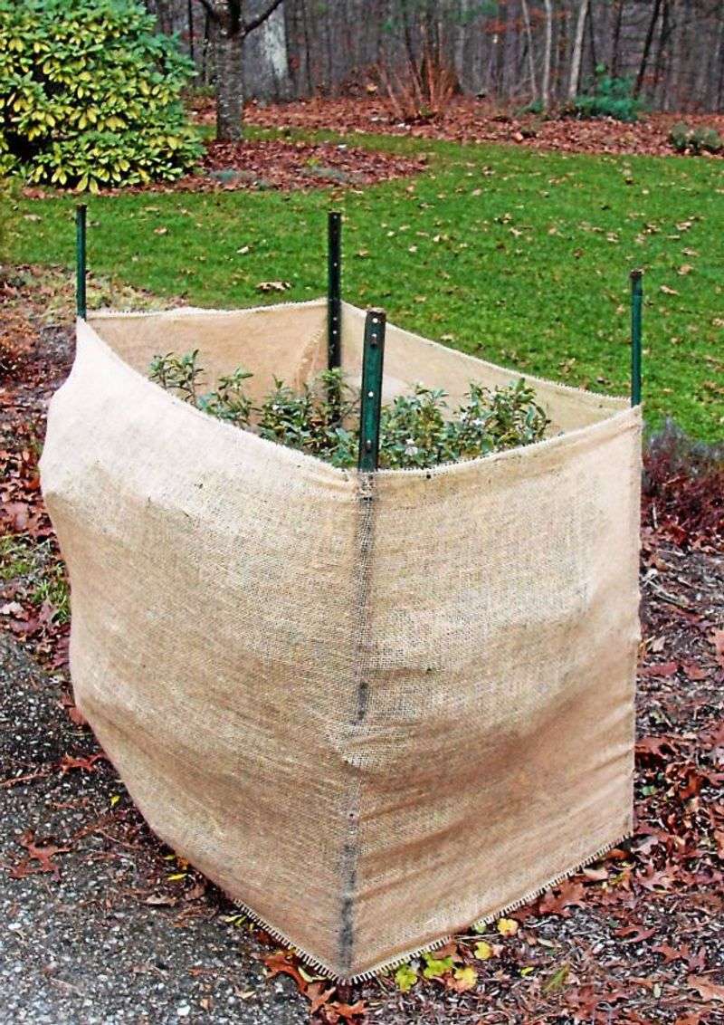Leave A Few Inches Between Fabric And Leaves