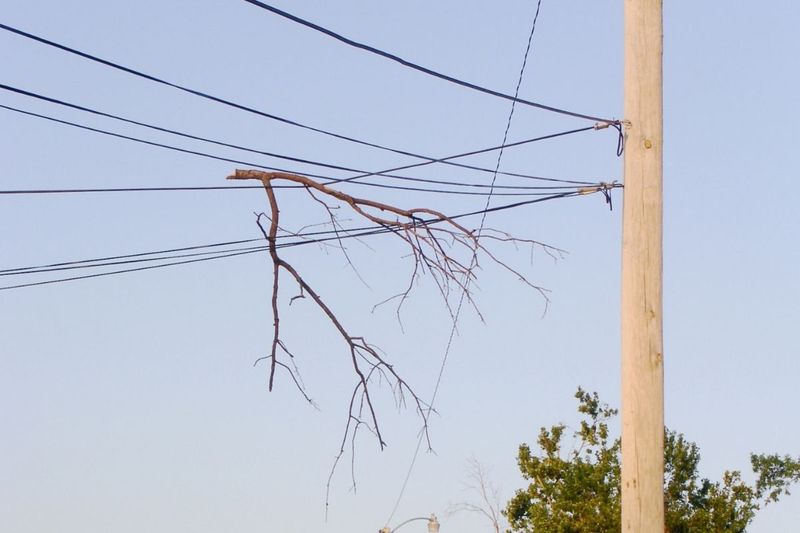 Leave Anything Touching Power Lines To Professionals
