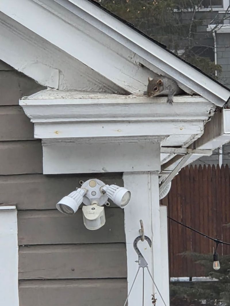 Leave It Alone Unless It Sits Near The Roof