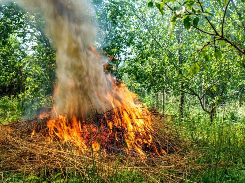 Leaves And Yard Debris Only, Never Trash Or Lumber