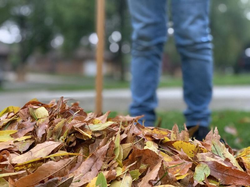 Leaves Raked Into Mansfield Streets Leaves Raked Into Mansfield Streets