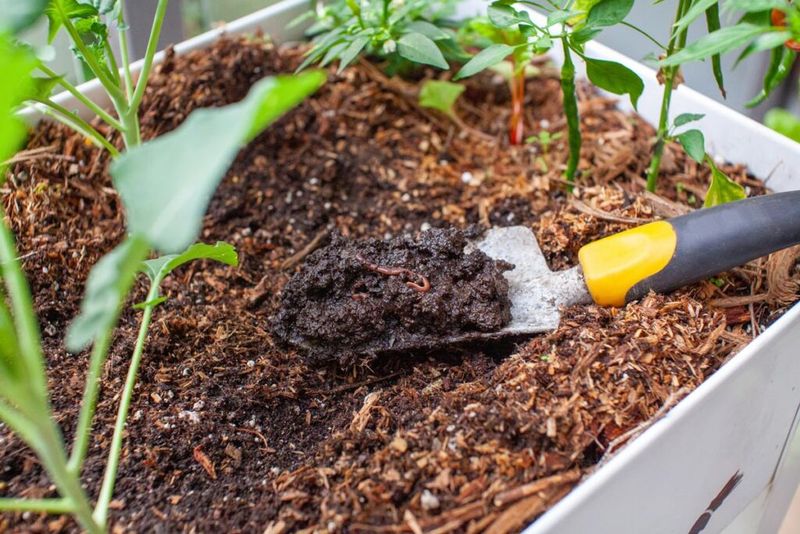 Leaving Soil Undisturbed Helps Preserve Its Natural Structure Leaving Soil Undisturbed Helps Preserve Its Natural Structure