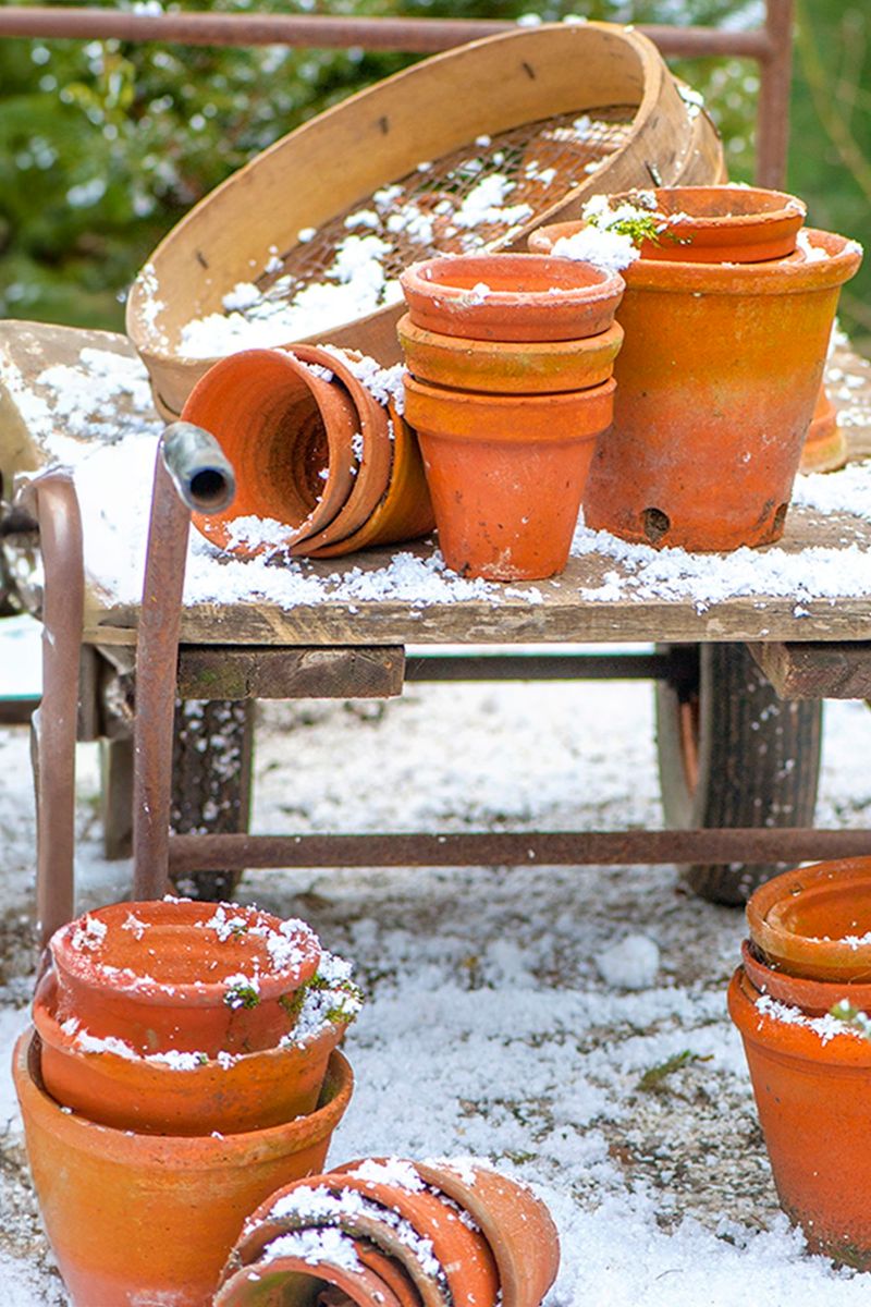 Leaving Terra-Cotta Outside Is The Big Mistake Leaving Terra-Cotta Outside Is The Big Mistake