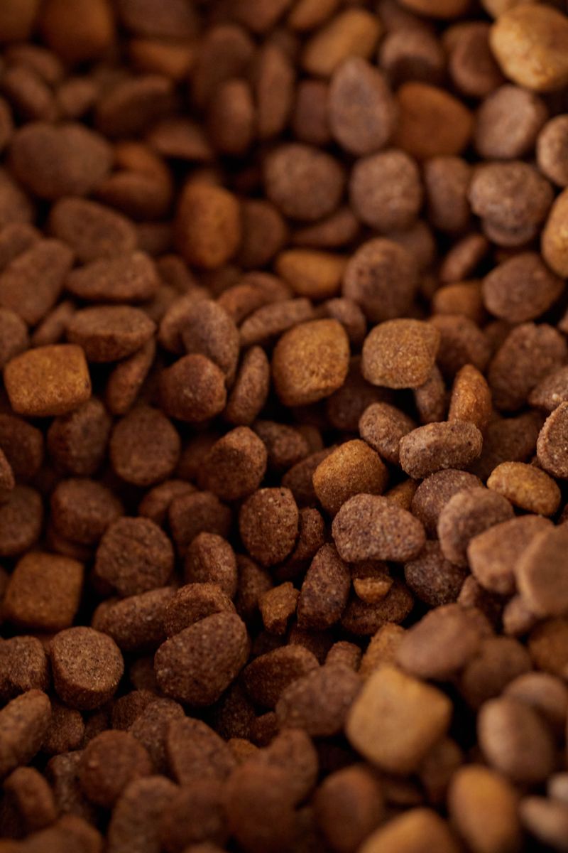 Leftover Pet Food And Feeders As Hidden Hog Magnets