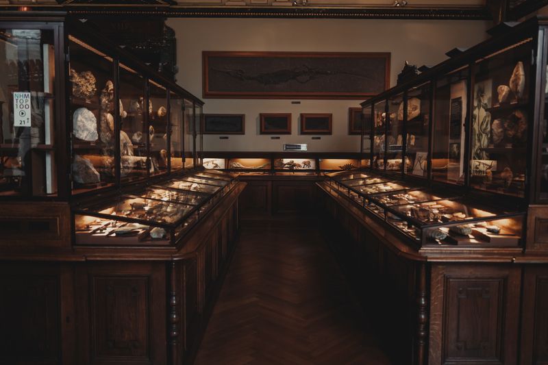 Lessons For Museum Collections Today Lessons For Museum Collections Today