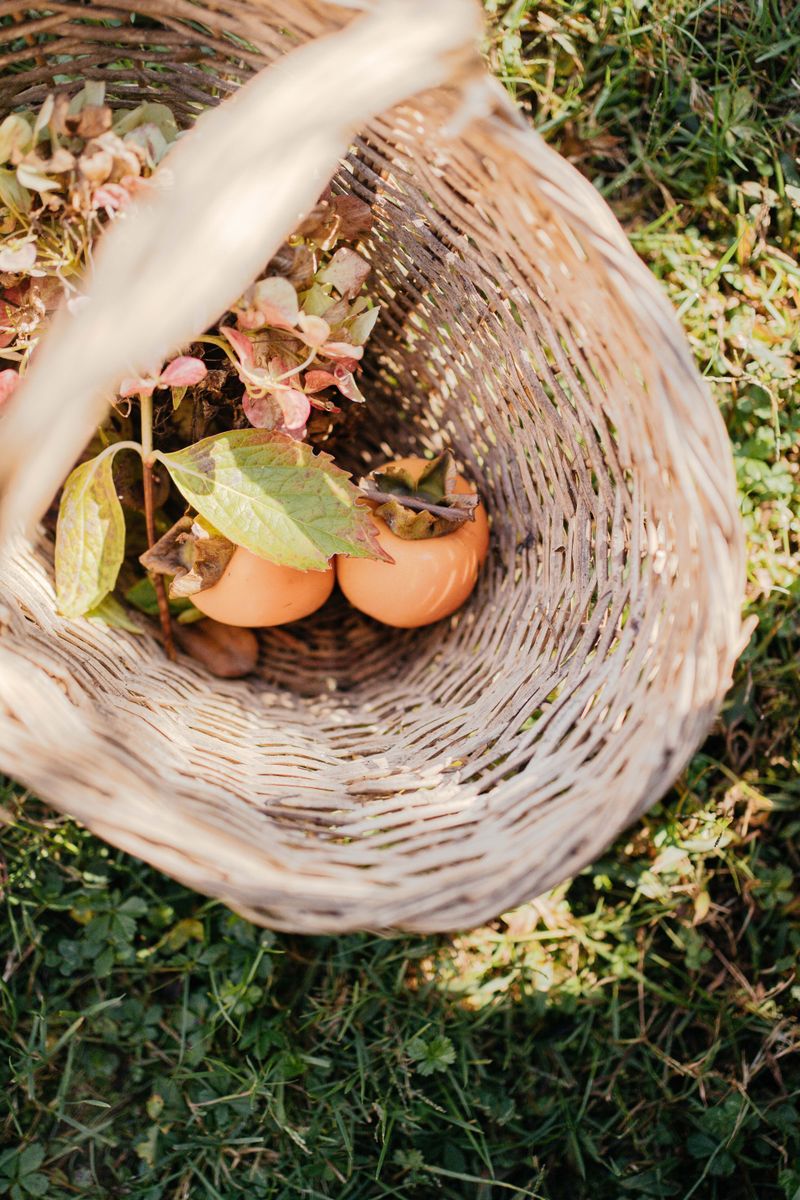 Let The Soft Persimmons Drop To The Ground First