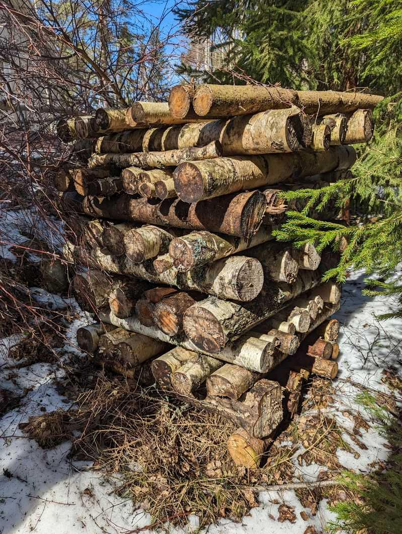 Letting Old Woodpiles Sit For Years