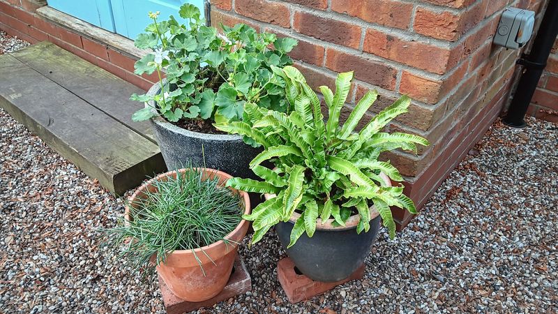 Lift Pots Off The Cold Ground
