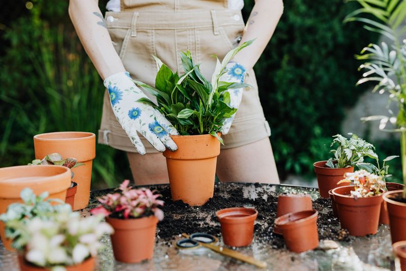 Lift Your Pots To Judge Their Weight