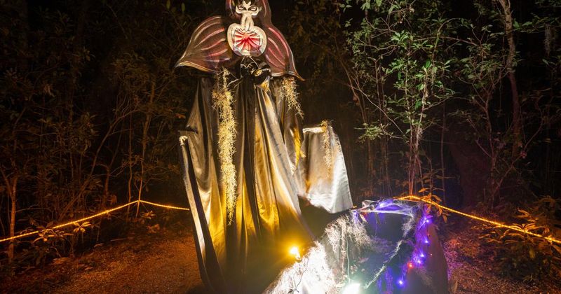 Lights At Spooky Point At Selby Gardens, Osprey Lights At Spooky Point At Selby Gardens, Osprey