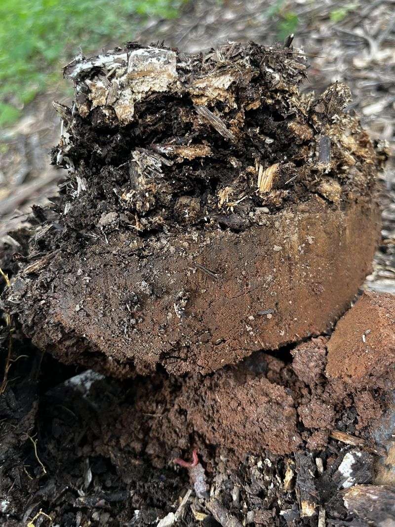 Lime Belongs On The Lawn Only When Soil Results Support It Lime Belongs On The Lawn Only When Soil Results Support It