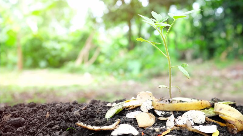 Long-Term Soil Health Keeps Building