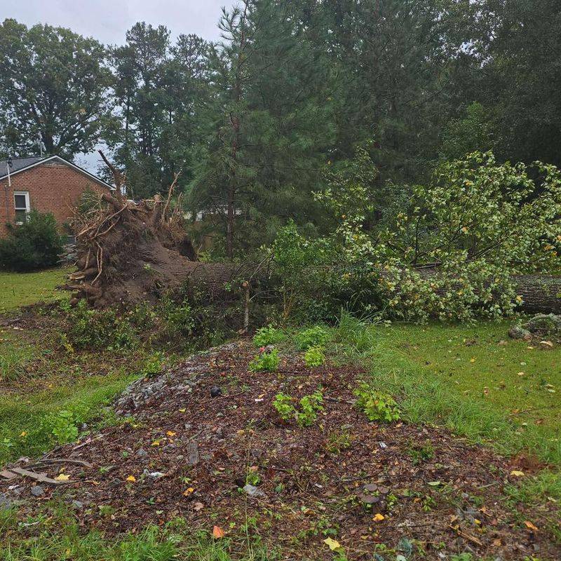 Look For Storm Damage In Western North Carolina Look For Storm Damage In Western North Carolina