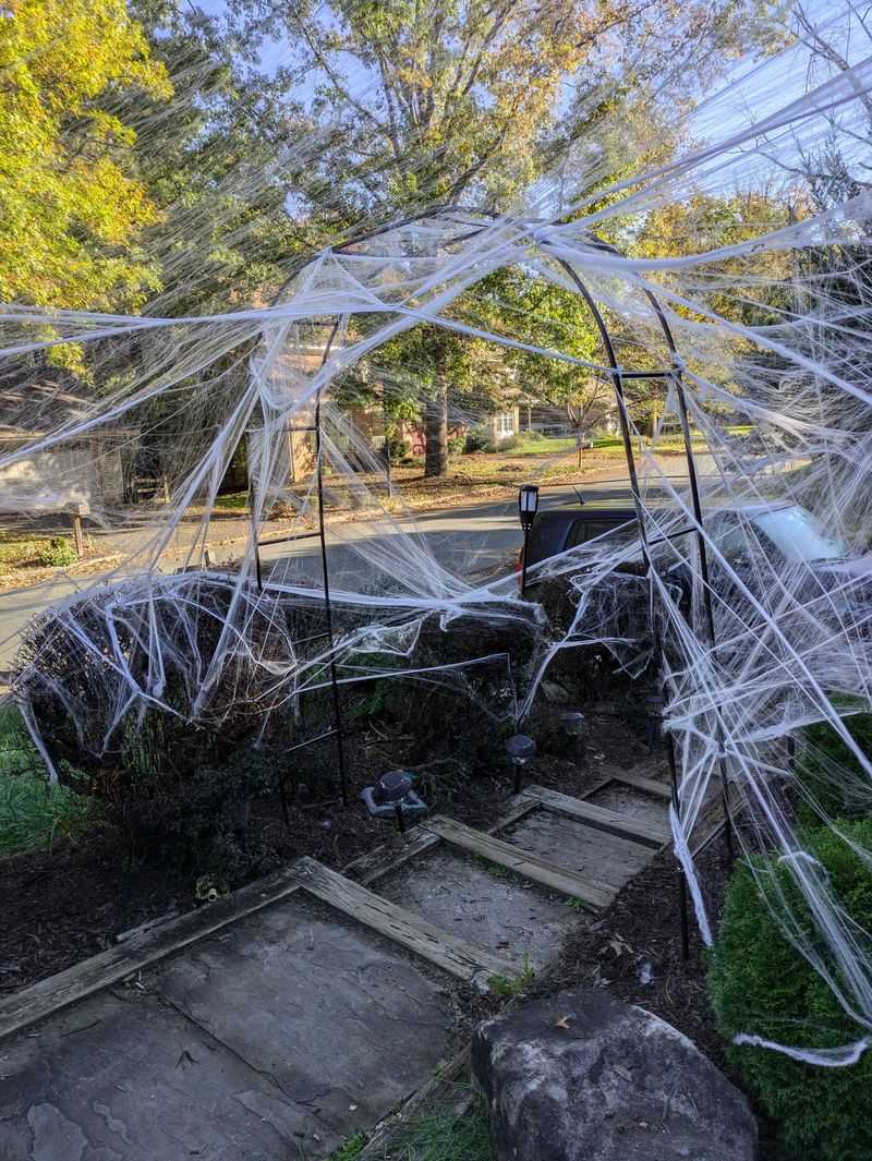 Loose Webbing Can Blow Into Trees And Stay There For Months Loose Webbing Can Blow Into Trees And Stay There For Months