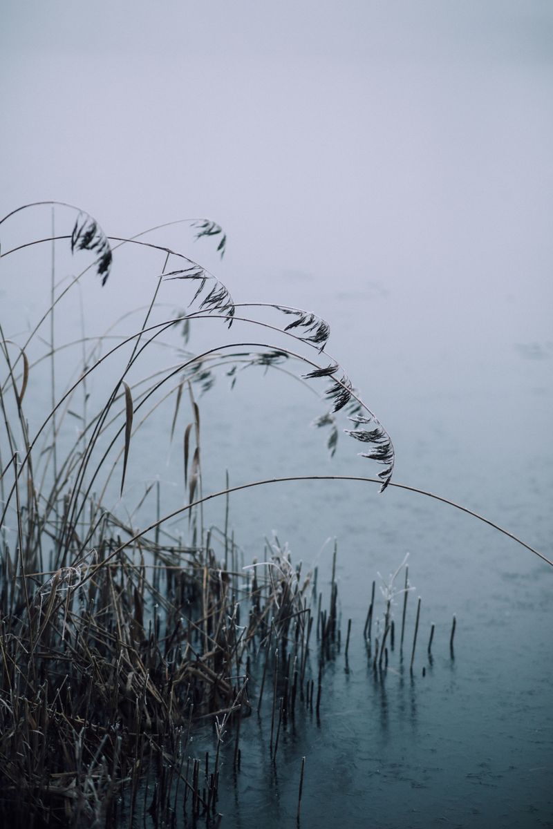 Low Spots And Bogs Freeze First Low Spots And Bogs Freeze First
