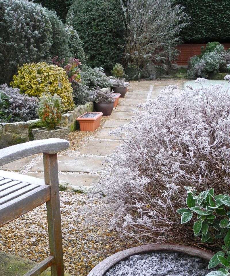Low Spots In Your Own Yard Can Frost Before The Rest