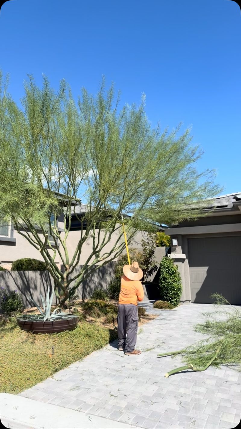Low-water does not mean maintenance-free