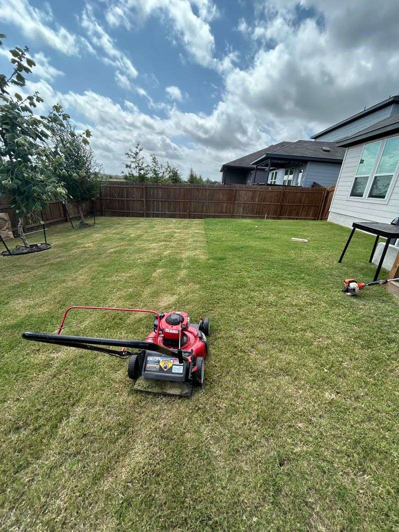 Lowering The Deck Slightly For The Last Mow Reduces Matting Lowering The Deck Slightly For The Last Mow Reduces Matting