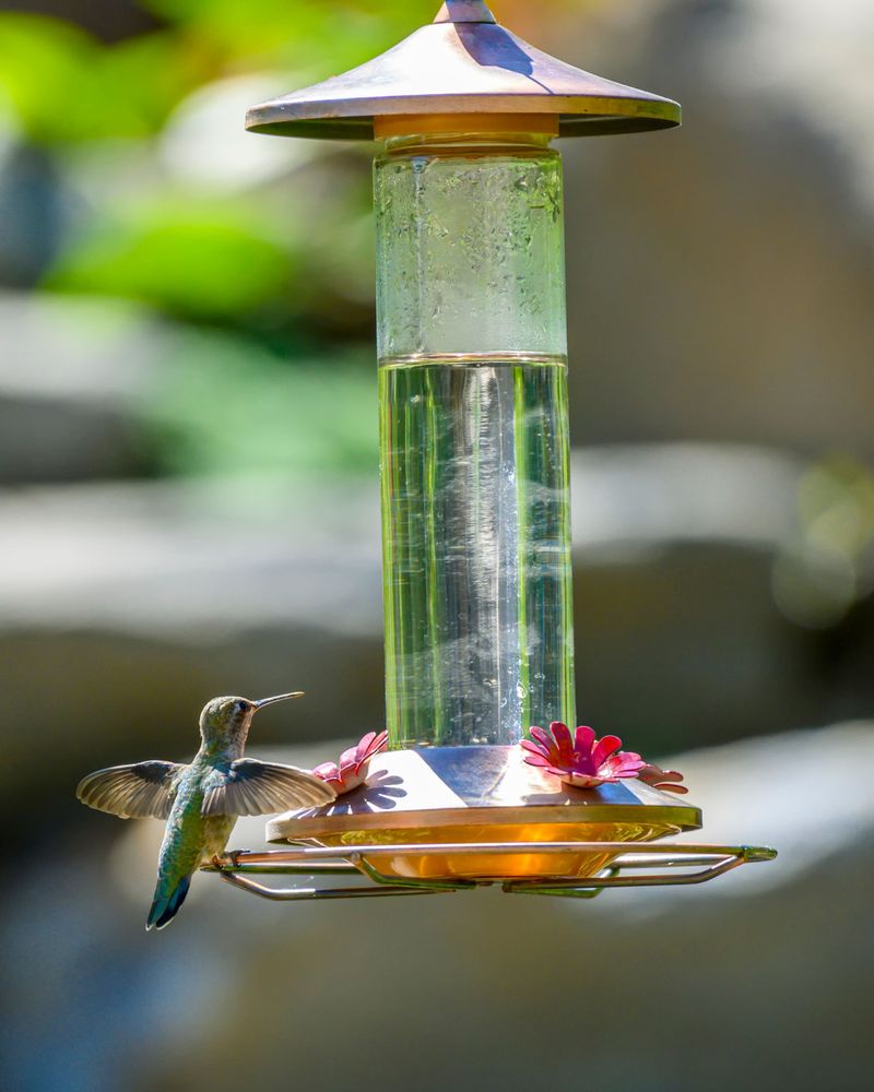 Make Fresh Nectar With The Right Recipe