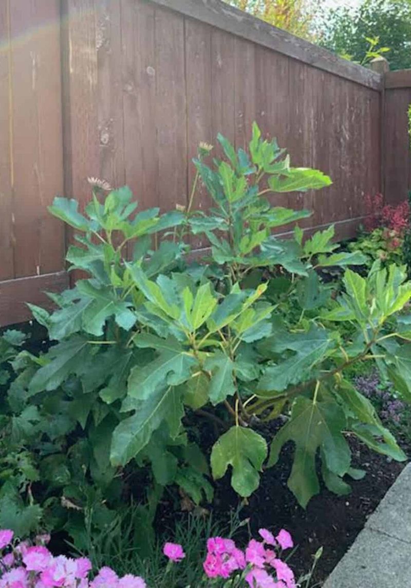 Make a modest post-harvest plan