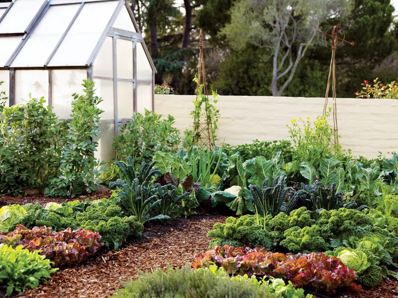 Make a simple October irrigation check