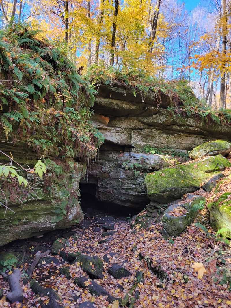 Malabar Farm State Park, Lucas