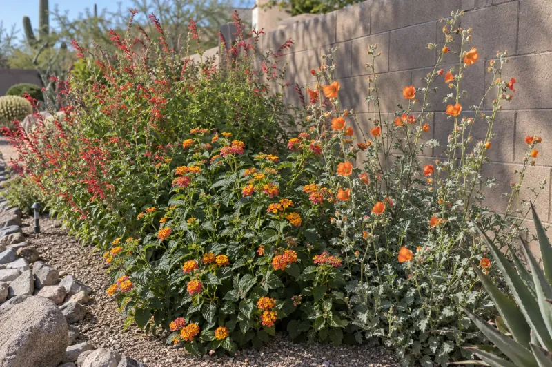 Manage Reseeding and Handle Foliage With Care