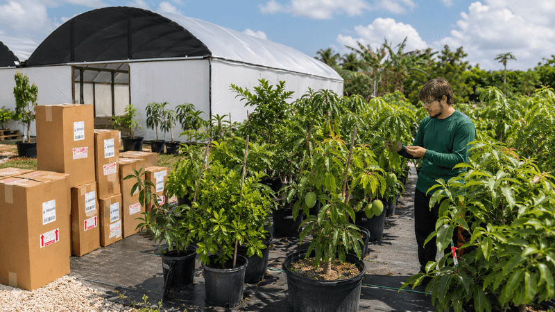 Many Native Nurseries Ship Their Plants Many Native Nurseries Ship Their Plants