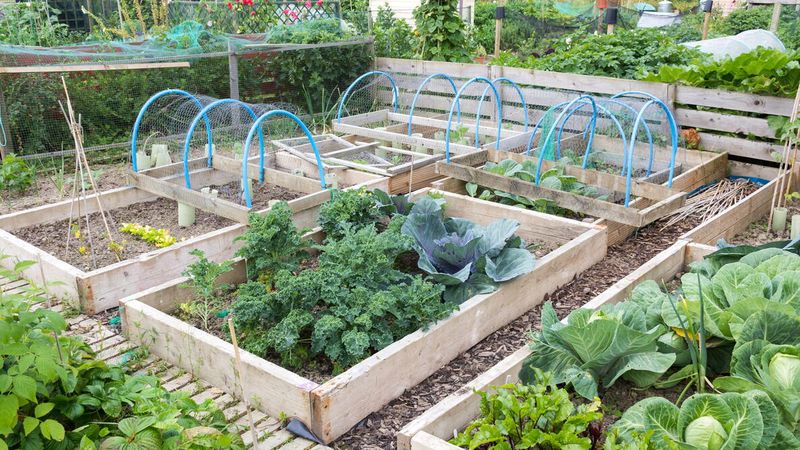 Map Out A Crop Rotation Map Out A Crop Rotation
