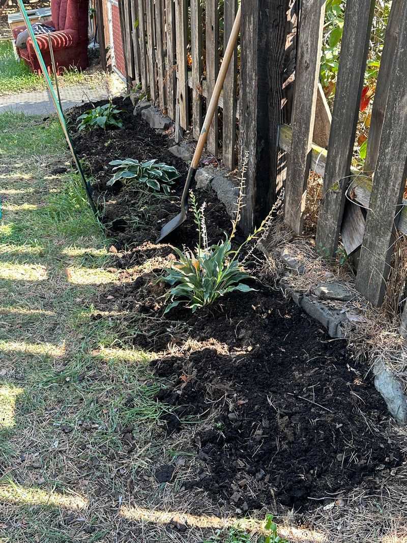 Mark Their Spots And Add Mulch